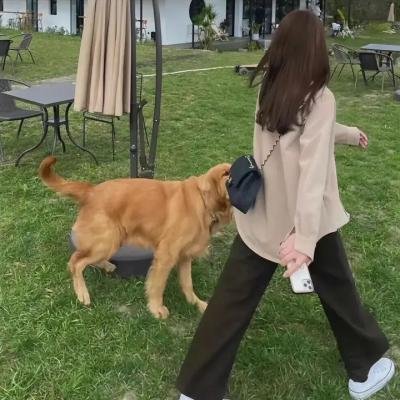 我的名字不是强尼